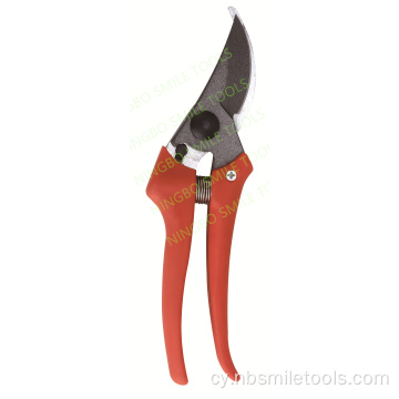 Offer Gardd Boblogaidd Mecsico yn tocio Scissors Scissors Pruner Coed Ffrwythau Syth